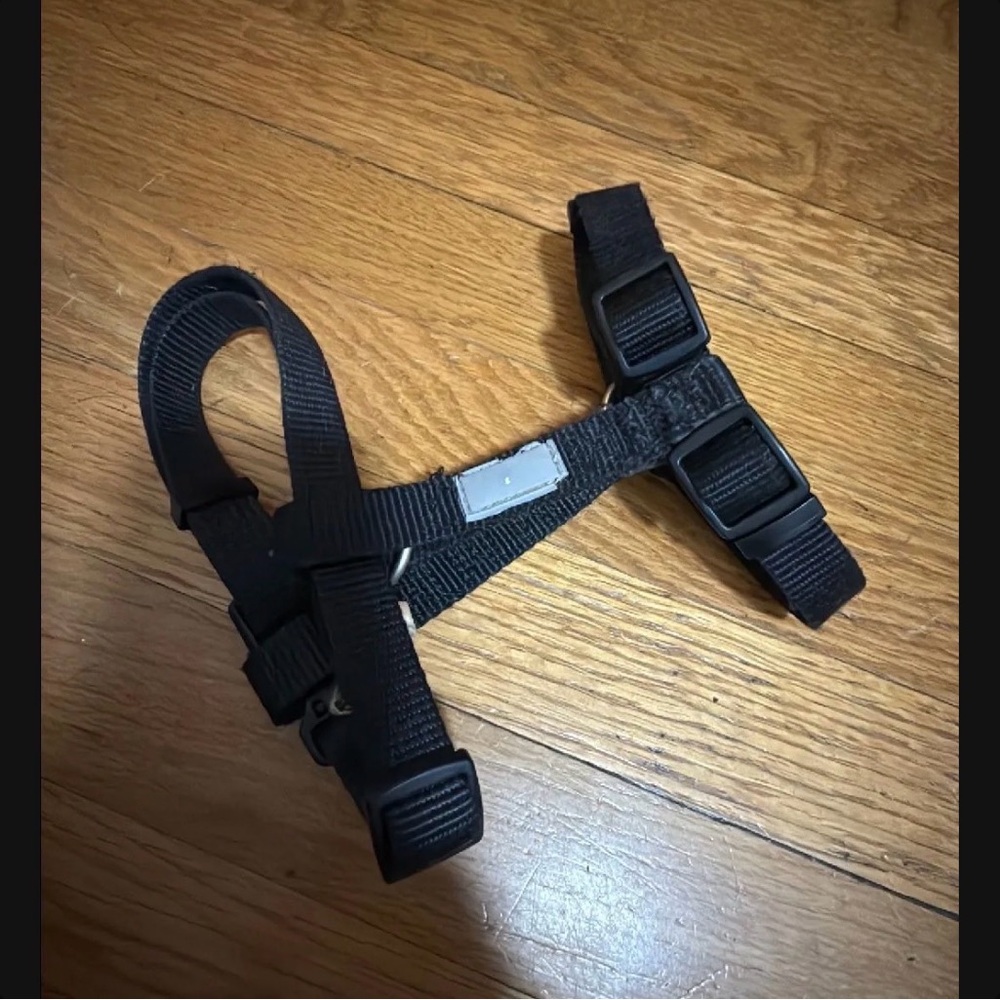 Black Adjustable Pet Harness